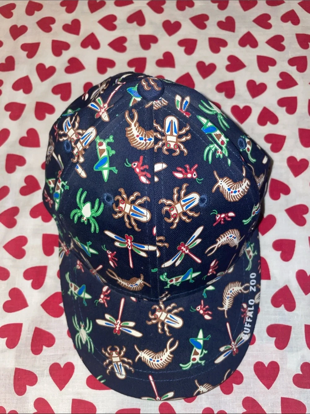 Polar geographics one navy